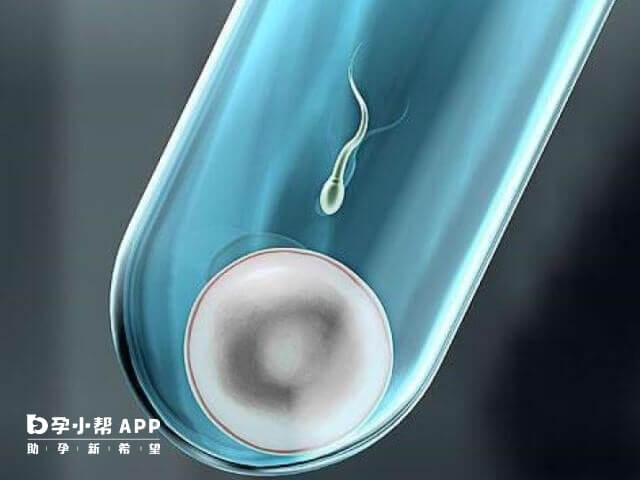 早孕试纸