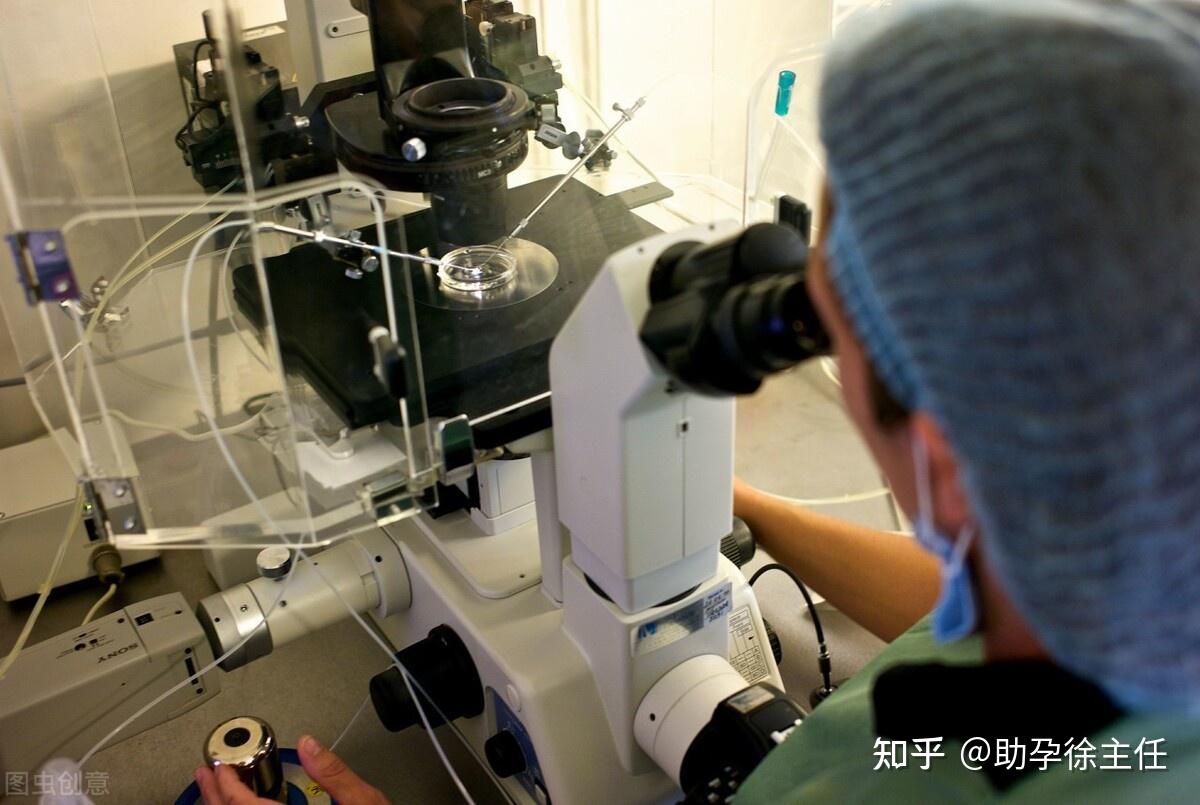 胚胎着床出血