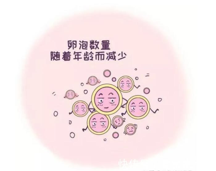 胚胎着床出血