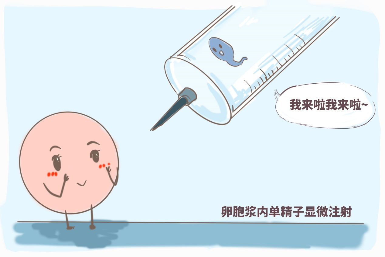 胚胎着床出血