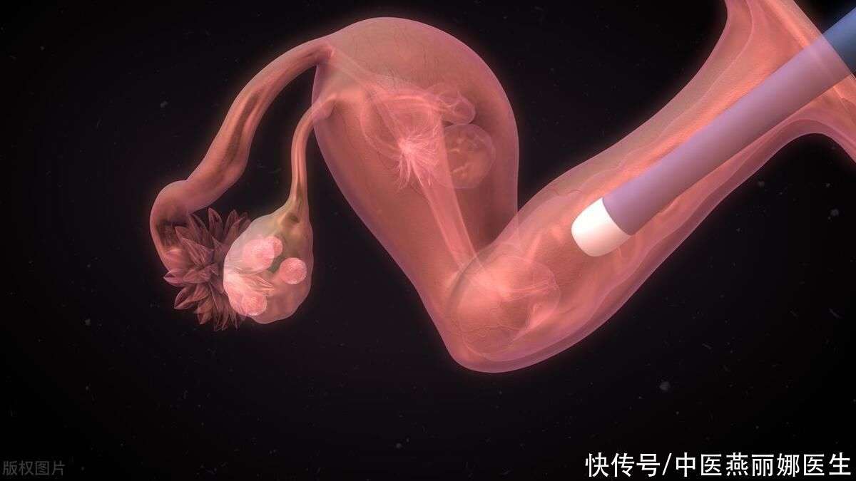 胚胎着床