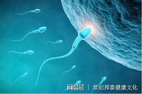 胚胎着床出血