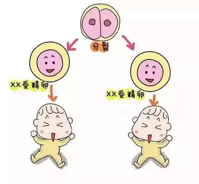 胚胎着床出血