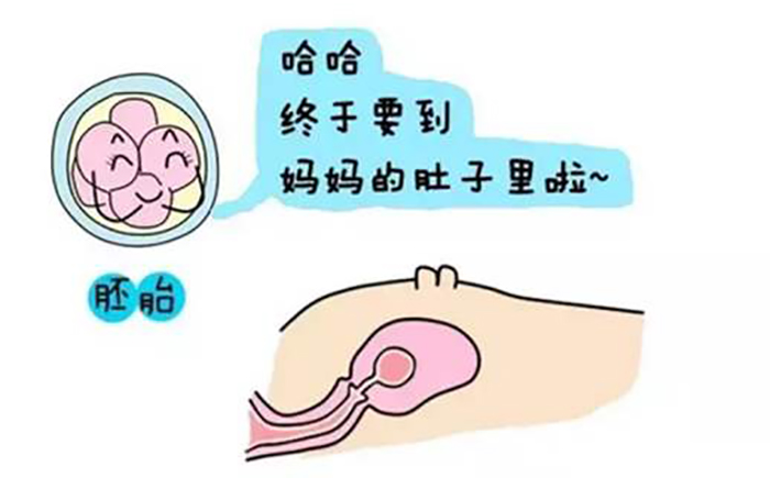 胚胎着床出血
