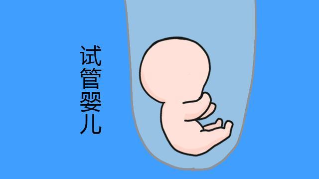 胚胎着床