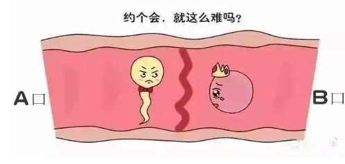 胚胎着床出血