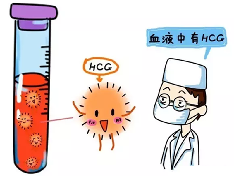 着床出血
