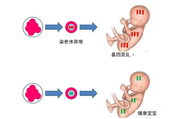胚胎着床出血